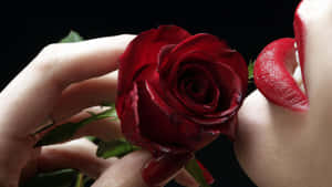Woman Wearing Red Lipstick Red Roses Laptop Wallpaper