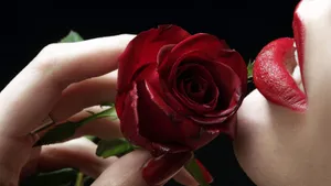 Woman Wearing Red Lipstick Red Roses Laptop Wallpaper