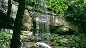 Wonder In The Great Smoky Mountains Wallpaper