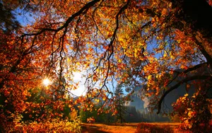 Wonderful Autumn Season Wallpaper