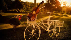 Wooden Chordophone Violin Instrument In Bike Basket Wallpaper