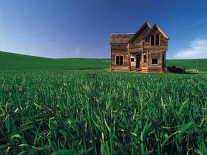 Wooden House On Green Grass Land Wallpaper