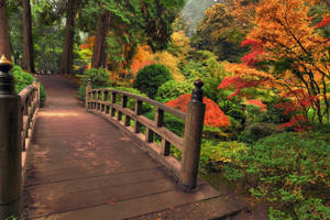 Wooden Nature Park Bridge Wallpaper