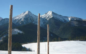 Wooden Poles In Slovakia Land Wallpaper