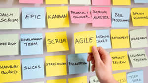 Words About Project Management Wallpaper