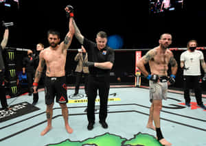 World Ufc Championship Carlos Condit Wallpaper