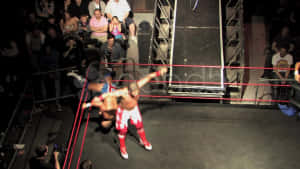 Wrestler Doug Williams Fight Aerial Shot Wallpaper