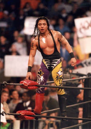 Wrestlerin Ring Attire Wallpaper