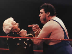 Wrestling_ Confrontation_ Bobby_ Heenan_ Andre_the_ Giant Wallpaper