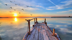 Yahoo Wooden Dock At Sunset Wallpaper