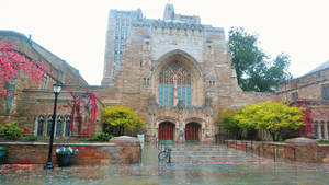 Yale University Sterling Memorial Library Wallpaper