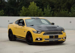 Yellow And Black Ford Mustang Gt Wallpaper