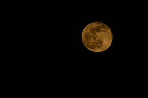 Yellow Full Moon Wallpaper