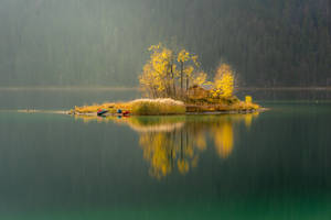 Yellow Lake Island Hd Landscape Desktop Wallpaper