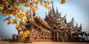 Yellow Leaves Growing Near The Sanctuary Of Truth Wallpaper
