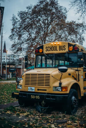 Yellow School Bus Autumn Season Wallpaper