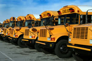 Yellow School Bus Feet On Parking Wallpaper