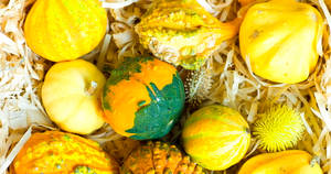 Yellow Squash In Different Kinds Wallpaper