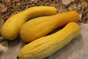 Yellow Squash With Wrinkled Skins Wallpaper
