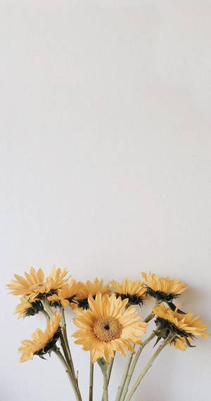 Yellow Vintage Aesthetic Look Wallpaper