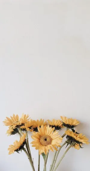 Yellow Vintage Aesthetic Look Wallpaper