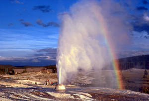 Yellowstone National Park Beehive Geyser Wallpaper