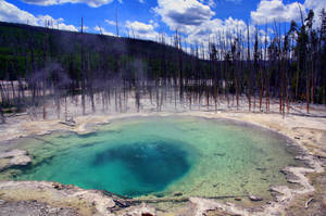 Yellowstone National Park Cistern Spring Wallpaper