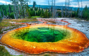 Yellowstone National Park Morning Glory Wallpaper