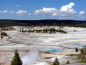 Yellowstone National Park Porcelain Basin Wallpaper