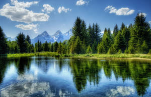 Yellowstone National Park Shoshone Lake Wallpaper