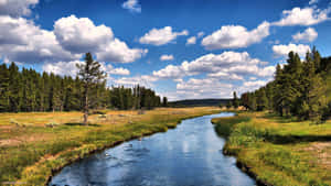 Yellowstone River Nature Photography Wallpaper