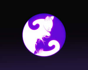Yin Yang 4k White And Purple Cats Wallpaper