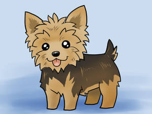 Yorkie Puppy Digital Art Wallpaper