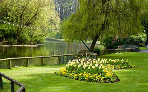 Yorkshire Peasholm Park Wallpaper