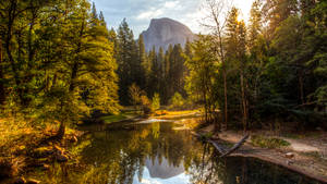 Yosemite National Park Golden Light Wallpaper