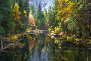 Yosemite National Park River Wallpaper