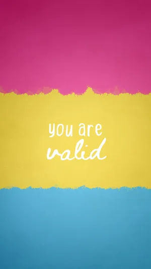 You Are Valid Pan Flag Illustration Wallpaper