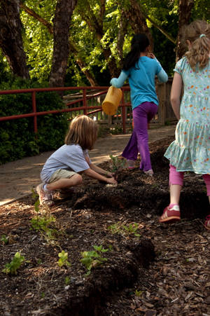 Young Kids Enthusiastically Participating In A Gardening Activity. Wallpaper