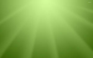 Youtube Thumbnail Bright Green Wallpaper