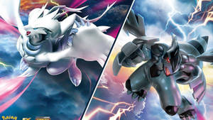 Zekrom And Reshiram Flying Wallpaper