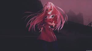 Zero Two Anime Pc Wallpaper